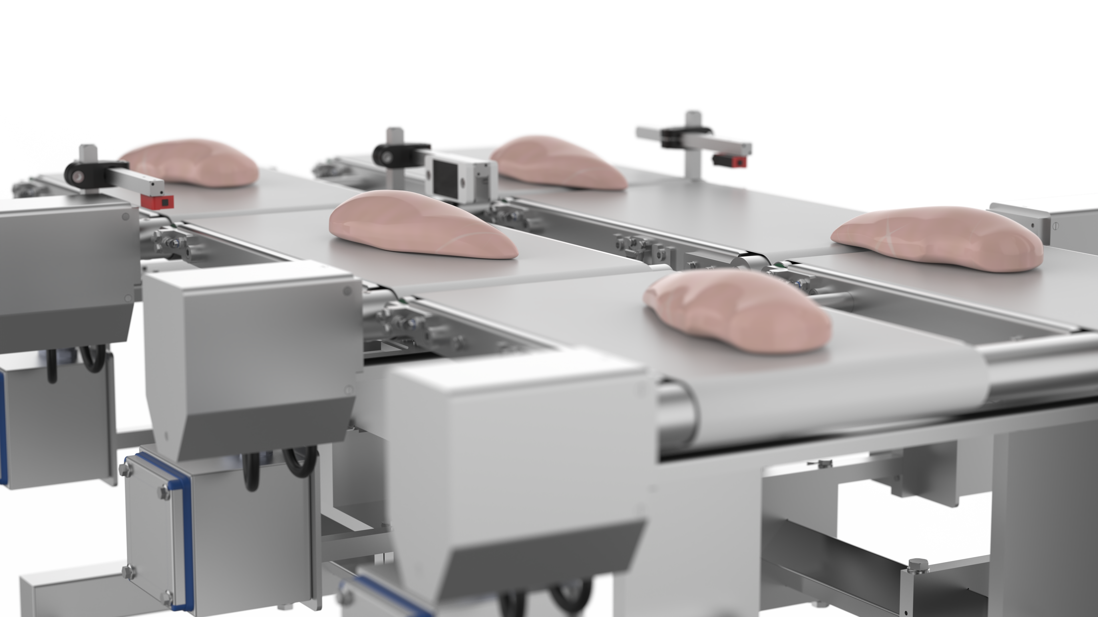 CP_CARNICO-5-DETALLE-FORMATOS-DESENFOQUE