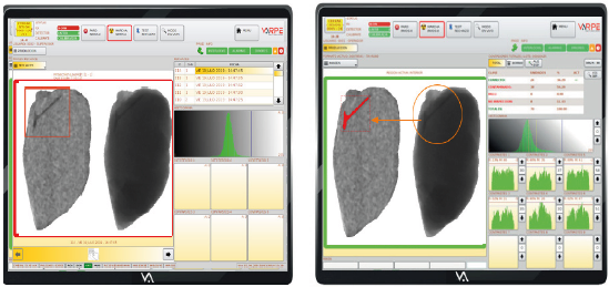 2022-03-28 08_18_19-Brochure carnico sin envasar.pdf - Adobe Acrobat Pro DC (32-bit)